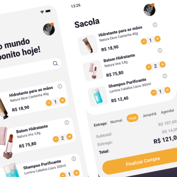 Descrição da Imagem 6